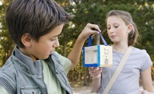 Camp bug box