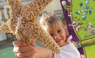 Workshop starfish classroom